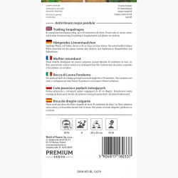 Lwia paszcza o pędach zwisających - 100 nasion