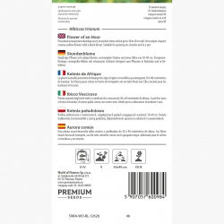 Ketmia południowa - 220 nasion