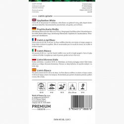 Liatra kłosowa - biała - 150 nasion