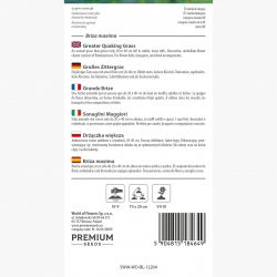 Drżączka większa - 500 nasion