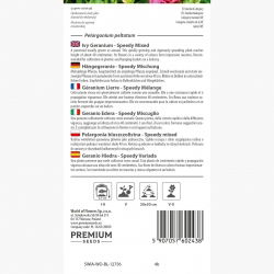 Pelargonia bluszczolistna - 5 nasion