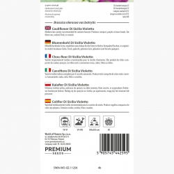 Kalafior o róży fioletowej Di Sicilia violetto - 54 nasion