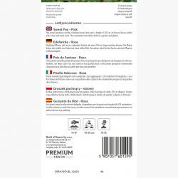 Groszek pachnący - różowy - 36 nasion
