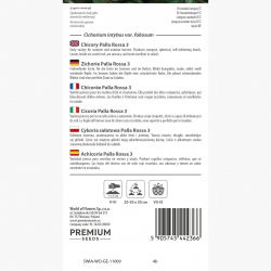 Cykoria sałatowa radicchio Palla Rossa 3 - 360 nasion