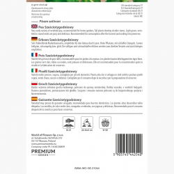 Groch siewny łuskowy sześciotygodniowy - bardzo szybki zbiór! - 200 nasion