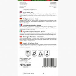 Niecierpek Waleriana czerwony - 180 nasion