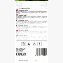 Pelargonia biała - 11 nasion