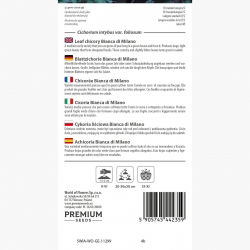 Cykoria liściowa Bianca di Milano - pod osłonami może być uprawiana przez cały rok