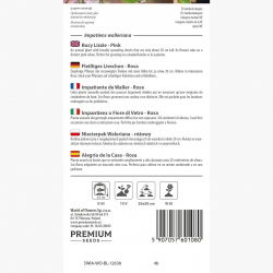 Niecierpek Waleriana różowy