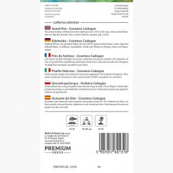 Groszek pachnący Hrabina Cadogan