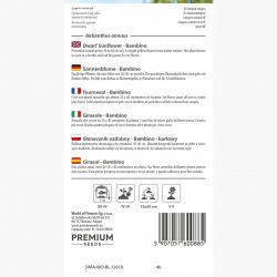 Słonecznik ozdobny karłowy Bambino