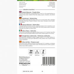 Smagliczka nadmorska - niebieska