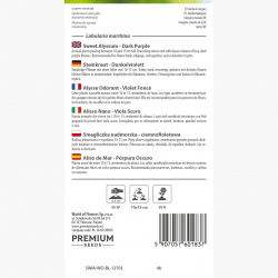 Smagliczka nadmorska ciemnofioletowa
