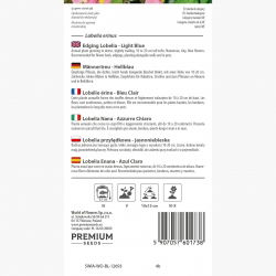 Lobelia przylądkowa jasnoniebieska - Stroiczka