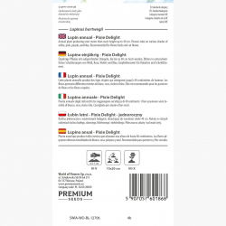 Łubin letni Pixie Delight - jednoroczny