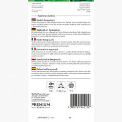 Rzodkiewka Rampouch - biała, podłużna, do uprawy wiosennej i jesiennej