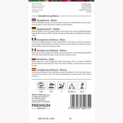 Gomfrena - biała - idealna do suszenia