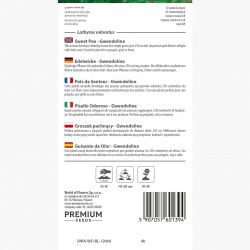 Groszek pachnący Gwendoline