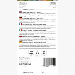 Groszek pachnący olbrzymi Mamut