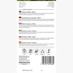 Firletka smółka - biała