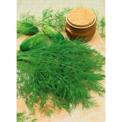 Koper ogrodowy Ambrozja - duże opakowanie - 500 gram