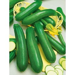 Cukinia Diamant F1 - Wyjątkowa wydajność i odporność, bardzo dobry smak - 100 gram