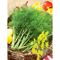 Koper ogrodowy Sprinter - duże opakowanie - 500 gram