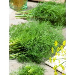 Koper ogrodowy Moravan - duże opakowanie - 500 gram