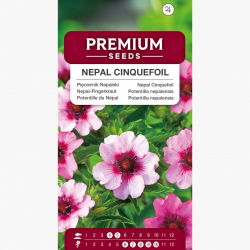 Pięciornik Nepalski - 600 nasion