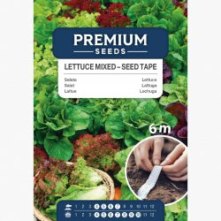 Sałata gruntowa - mieszanka NA TAŚMIE