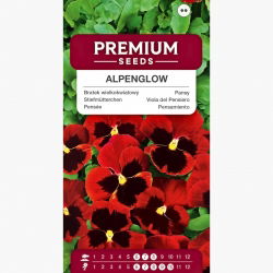 Bratek wielkokwiatowy - czerwony z czarną plamą - 400 nasion