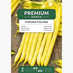 Fasola szparagowa karłowa Furora Polana