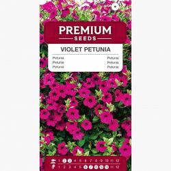 Petunia fiołkowata