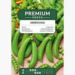 Groch Ambrosia cukrowy - 300 nasion