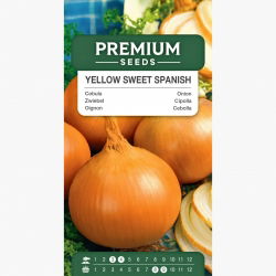 Cebula Yellow Sweet Spanish - słodka, hiszpańska cebula - 1250 nasion