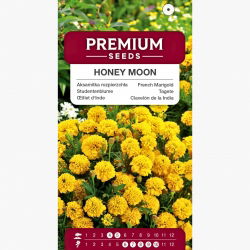 Aksamitka rozpierzchła Honey Moon - żółta