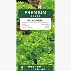 Sałata liściowa Salad Bowl zielona, dębolistna