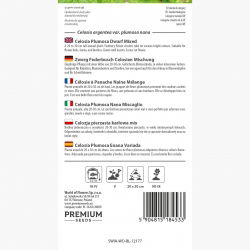 Celozja pierzasta niska - 600 nasion