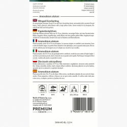 Złociszek oskrzydlony, Wiekuistka