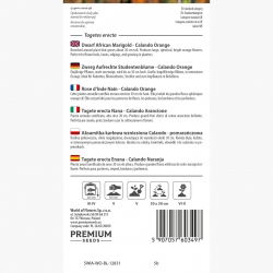 Aksamitka wzniesiona karłowa Calando - pomarańczowa