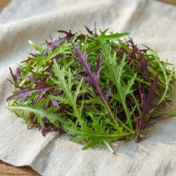 Mizuna - zestaw 2 odmian nasion warzyw