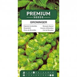 Kapusta brukselska Groninger - 640 nasion
