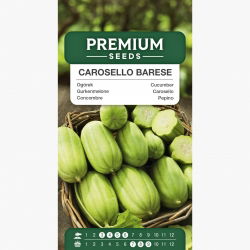 Ogórek melonowy Carosello Barese - nowość! - 40 nasion
