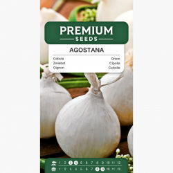 Cebula Agostana - biała, średnio wczesna - 1250 nasion