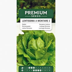 Sałata Lentissima a Montare 3 - rzymska, jasnozielona - 950 nasion