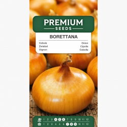 Cebula Borettana - odmiana do grillowania i marynowania