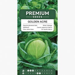 Kapusta głowiasta biała Golden Acre - wczesna, główki zielono-żółtawe - 480 nasion