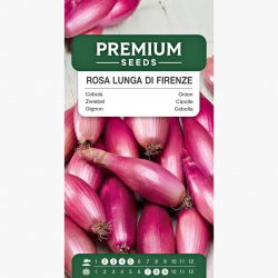 Cebula Rosa Lunga Di Firenze