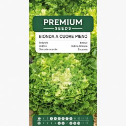 Endywia Bionda a Cuore Pieno