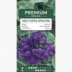 Brokuł Early Purple Sprouting